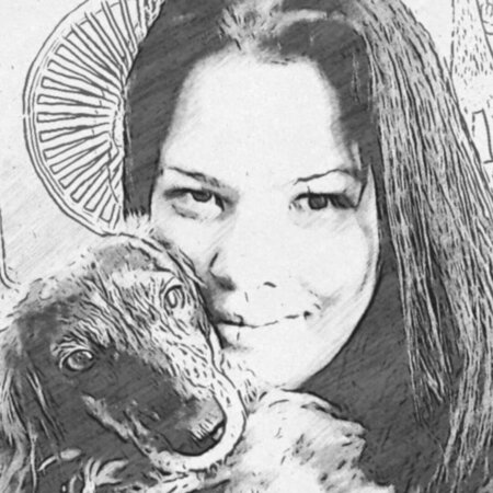 Looking For A Dependable House Cleaner For Family Living In Pekin