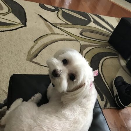 Seeking Part-time Senior Care Provider In Laurel