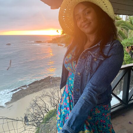 Nanny Needed For 1 Child In Bellmore