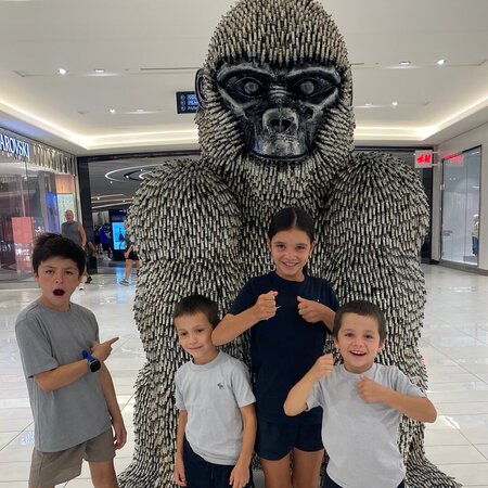 Spanish Fluent Live In Or Live Out Nanny  For 7yo Twin Boys