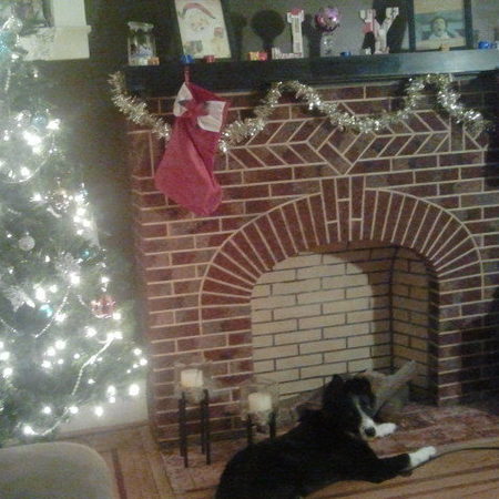 Nanny Needed For 2 Children In Parkville.