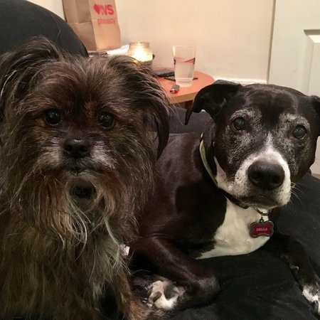 Looking For A Study Skills, Math Tutor In Salem.