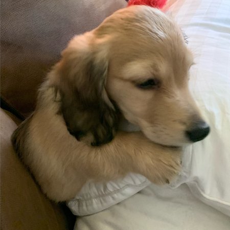 Looking For A Dependable House Cleaner For Family Living In Phoenix.