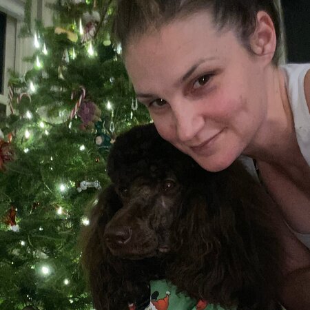 Nanny Needed For 3 Boys In South Minneapolis.