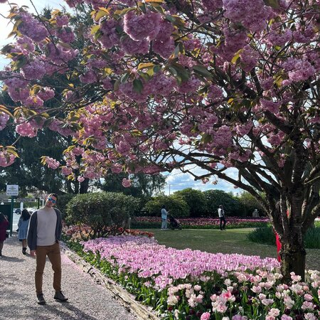 Nanny Needed For 1 Child In Seattle