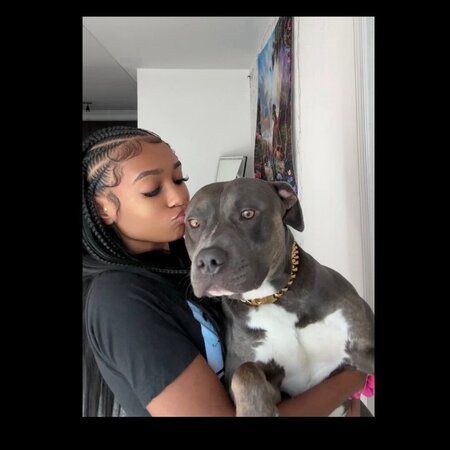 Trainer Needed For 1 Dog In Monroeville