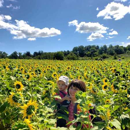 Bilingual Math Tutor For First Grader