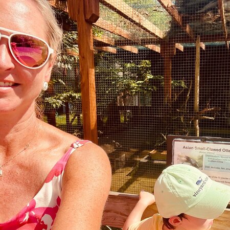 Summer Nanny Needed For 4 Year Old Boy In York, ME - 2-3 Days / Weekly