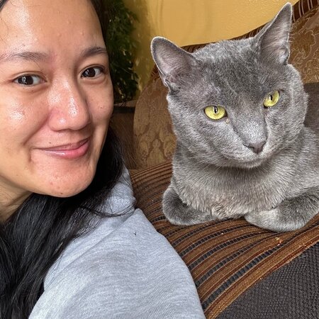 Looking For A Dependable House Cleaner For Family Living In San Diego.