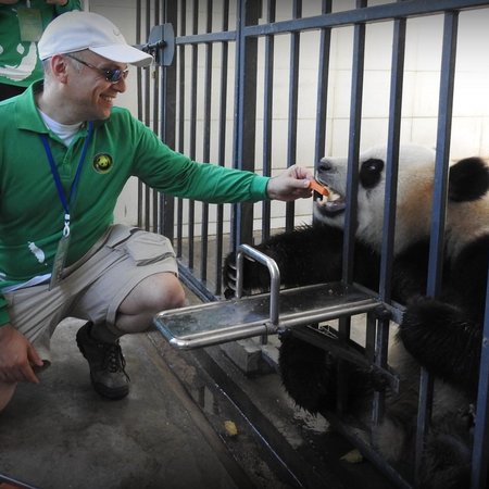 Looking For A Pet Sitter For 2 Dogs In Bellevue