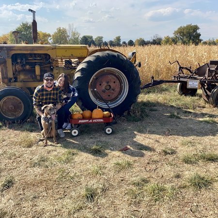 Looking For A Dependable House Cleaner For Family Living In Pittsburgh.