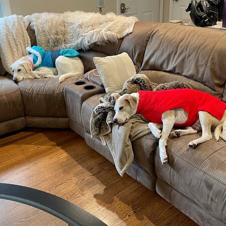 Looking For A Dependable House Cleaner For Family Living In Wallingford