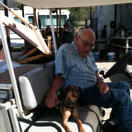 Sitter Needed For 1 Cat In Carson City