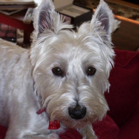 Companion Care Needed For My Mother In Pompano Beach