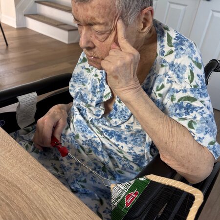 As Needed Aide Wanted For Mom With Parkinson's