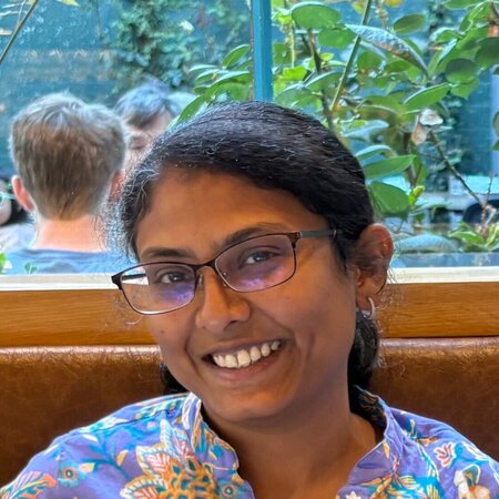 After-school Nanny Needed For 2 Children In Sunnyvale.