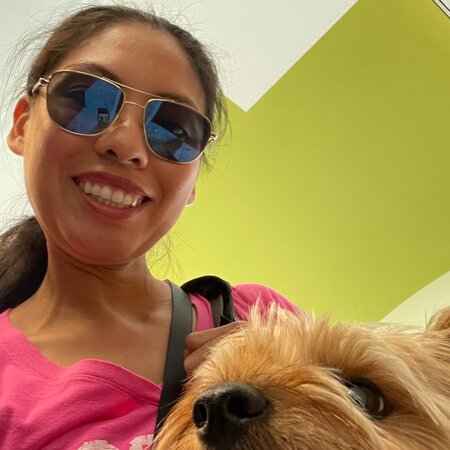 Looking For A Housekeeper To Help Deep Clean For The Holidays