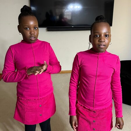 Babysitter Needed For 2 Children In West Newton.