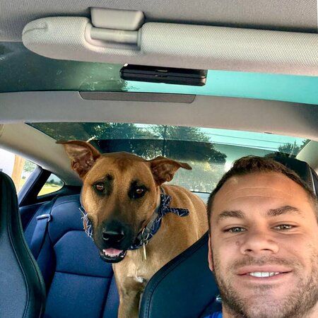 Housekeeping/dog Sitting