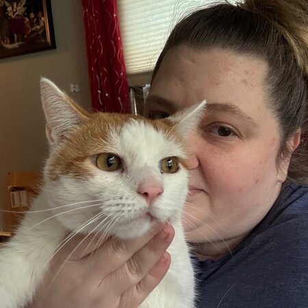 Looking For A Pet Sitter While On Vacation. One Dog And 9 Indoor Only Cats.