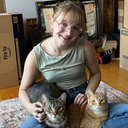 Sitter Needed For 2 Cats In Chicago