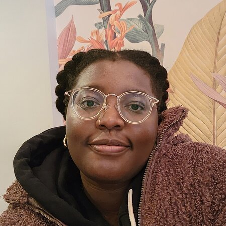 Looking For A Dependable House Cleaner And Organizer For Busy Professionals Living In Amherst