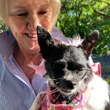 Looking For A Pet Sitter For 1 Dog In Portland