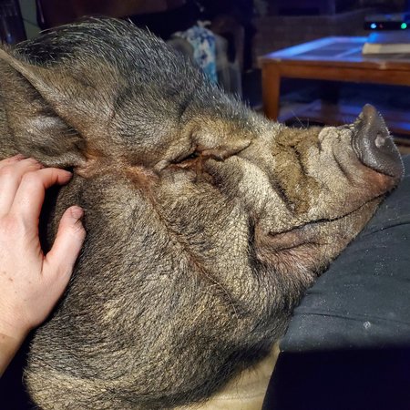 Seeking Part-time Adult Care Provider In Gadsden