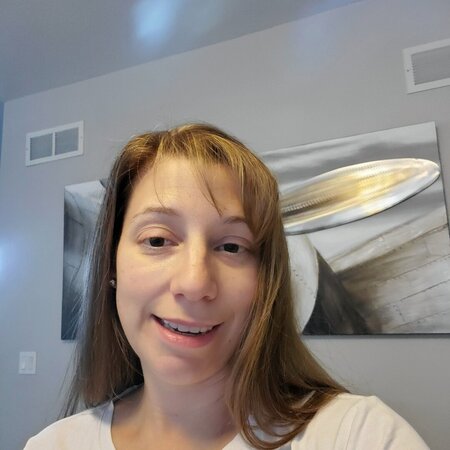 Nanny Needed For 2 Children In New Lenox.