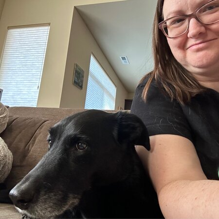 Senior Dog Needs Walkies!