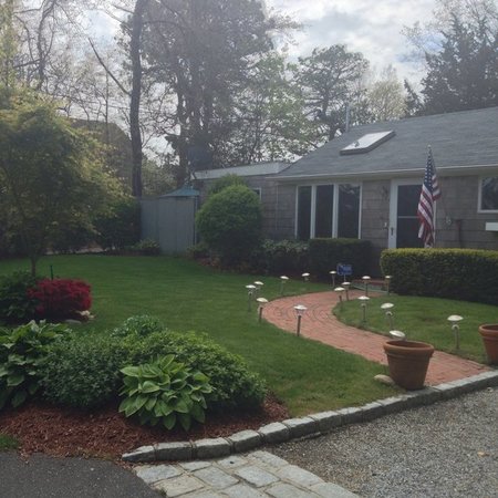 Sitter Needed For 1 Dog In Hampton Bays