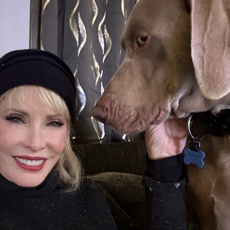 Sitter Needed For 5 Dogs In Belgrade