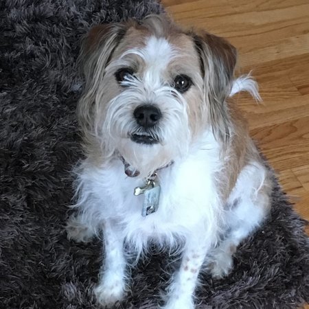 Companion Care Needed For Myself In Richmond