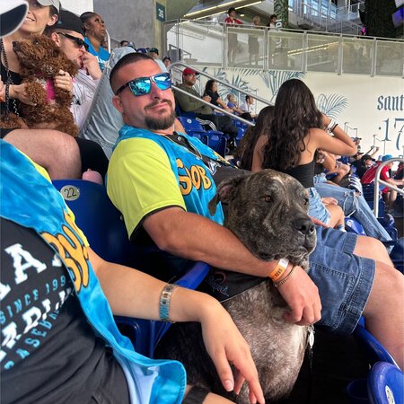 Seeking A Reliable, Detail-focused Cleaner Who Takes Real Pride In Their Work.