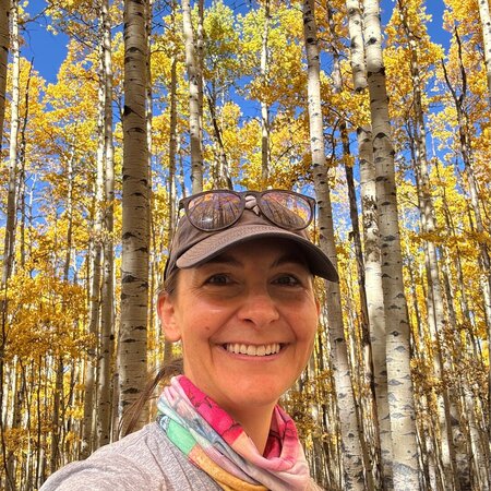 Babysitter Needed For My Children In Littleton.