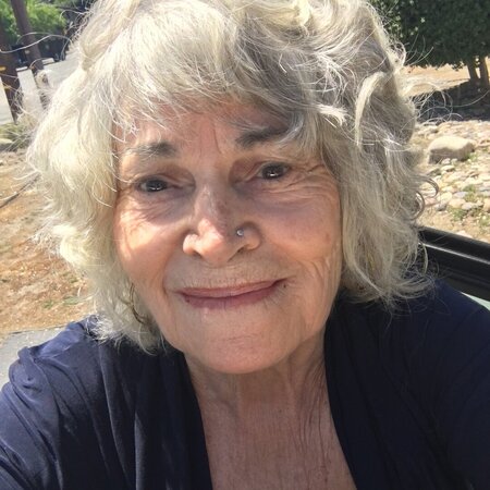 Ann H.