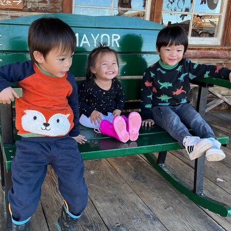 Bloomington Family Seeking Babysitter For 3 Children