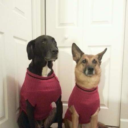 Seeking Part-time Senior Care Provider In Spring Grove