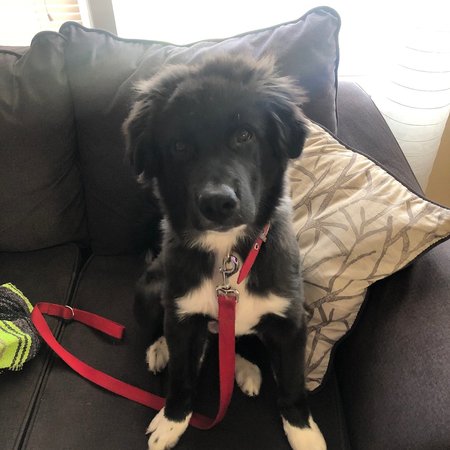 Nanny Needed For 1 Child In Saint Louis.