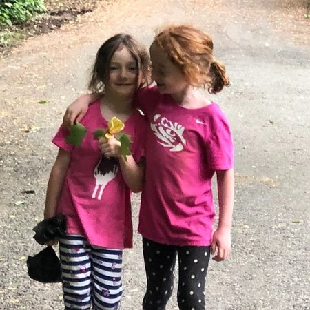 Sitter/Tutor/Driver Needed For 2 Children In Arlington.