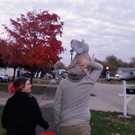 Looking For Saturday Sitter!