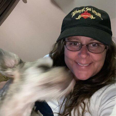 Looking For A Dependable House Cleaner For Family Living In Clearwater.