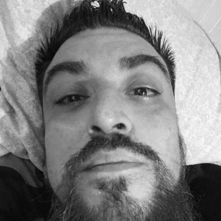 Looking For A Pet Sitter For 1 Dog In Villa Park