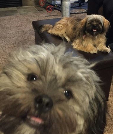 Companion Care Needed For My Mother In Redmond