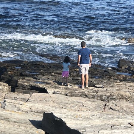 Weekend Babysitter Needed For 2 Kids In Bryan.