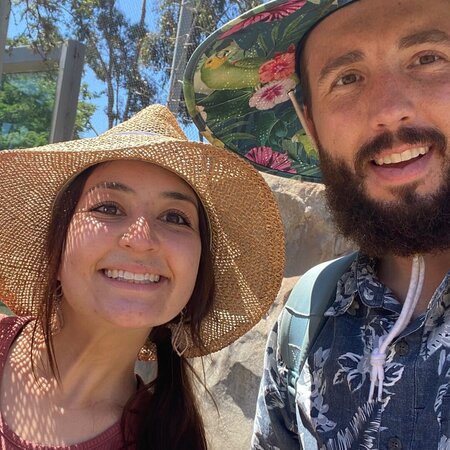 Re-Occurring Babysitter Position (Littleton)