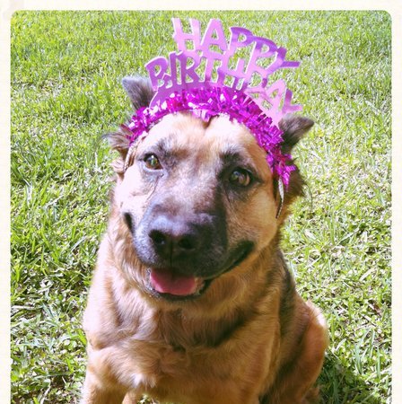 Seeking Part-time Adult Care Provider In Sharpsburg (Preferably Bilingual)