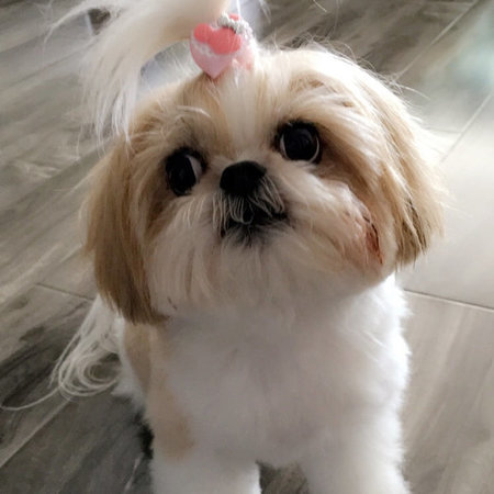 Housekeeper To Help Organize And Clean For A Busy Family Of 3