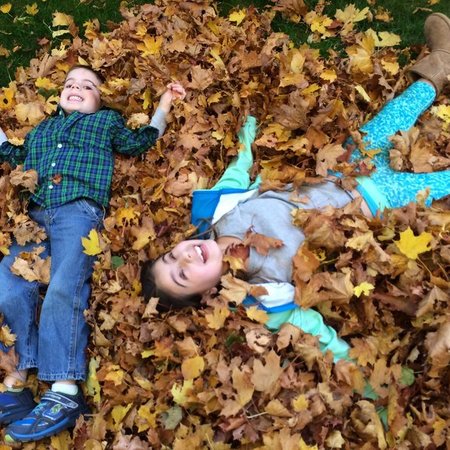 Sitter/boarding Needed For 1 Dog In Winchester Pays $48/night