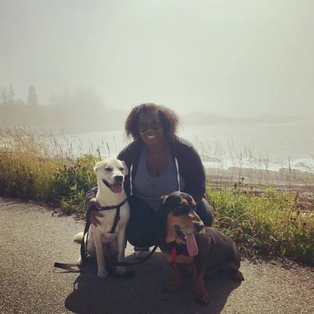 Nanny/Sitter Needed For 1 Child In New Britain.